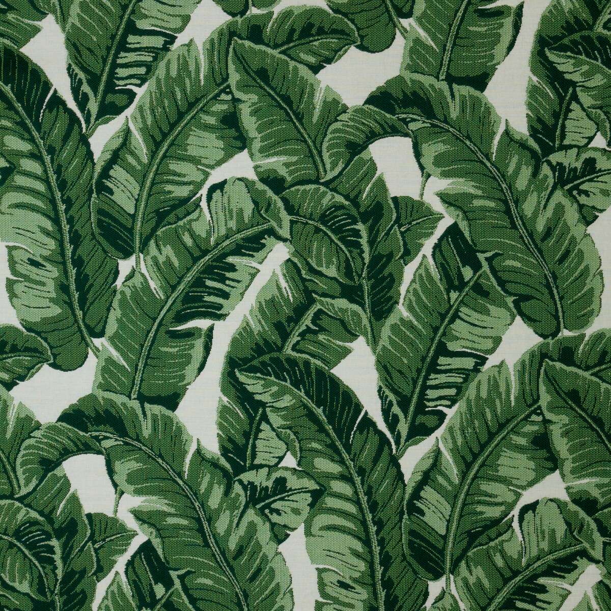 Sunbrella Upholstery Tropics Jungle (145214-0000)